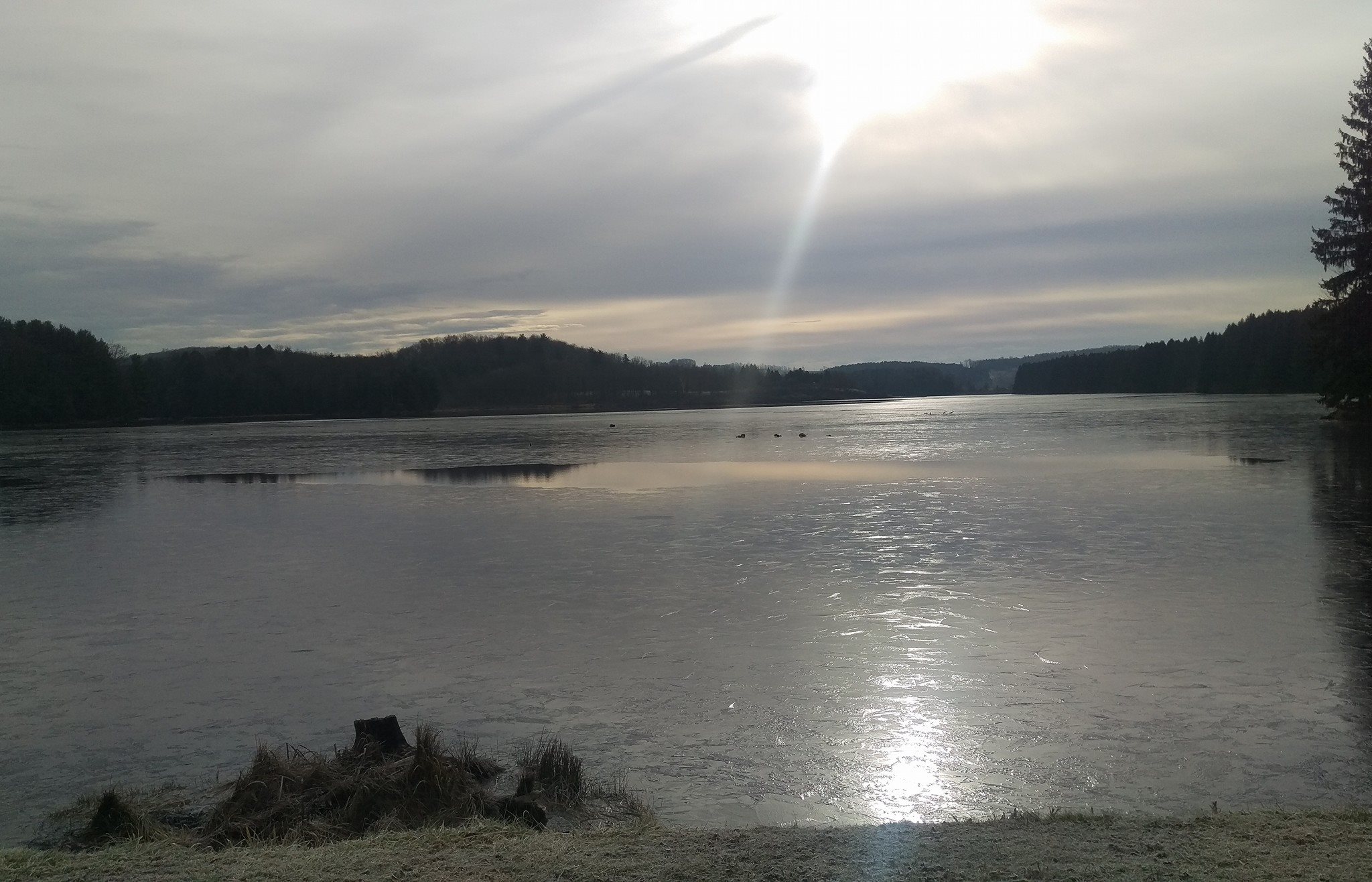 12/12/16 Tioga County Ice Fishing Report-  First ice coming soon!