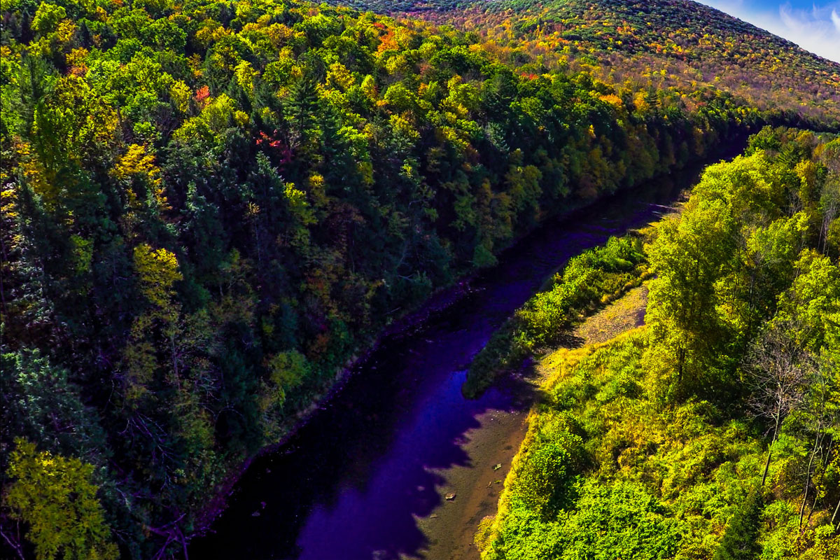 Pine Creek at Cedar Run