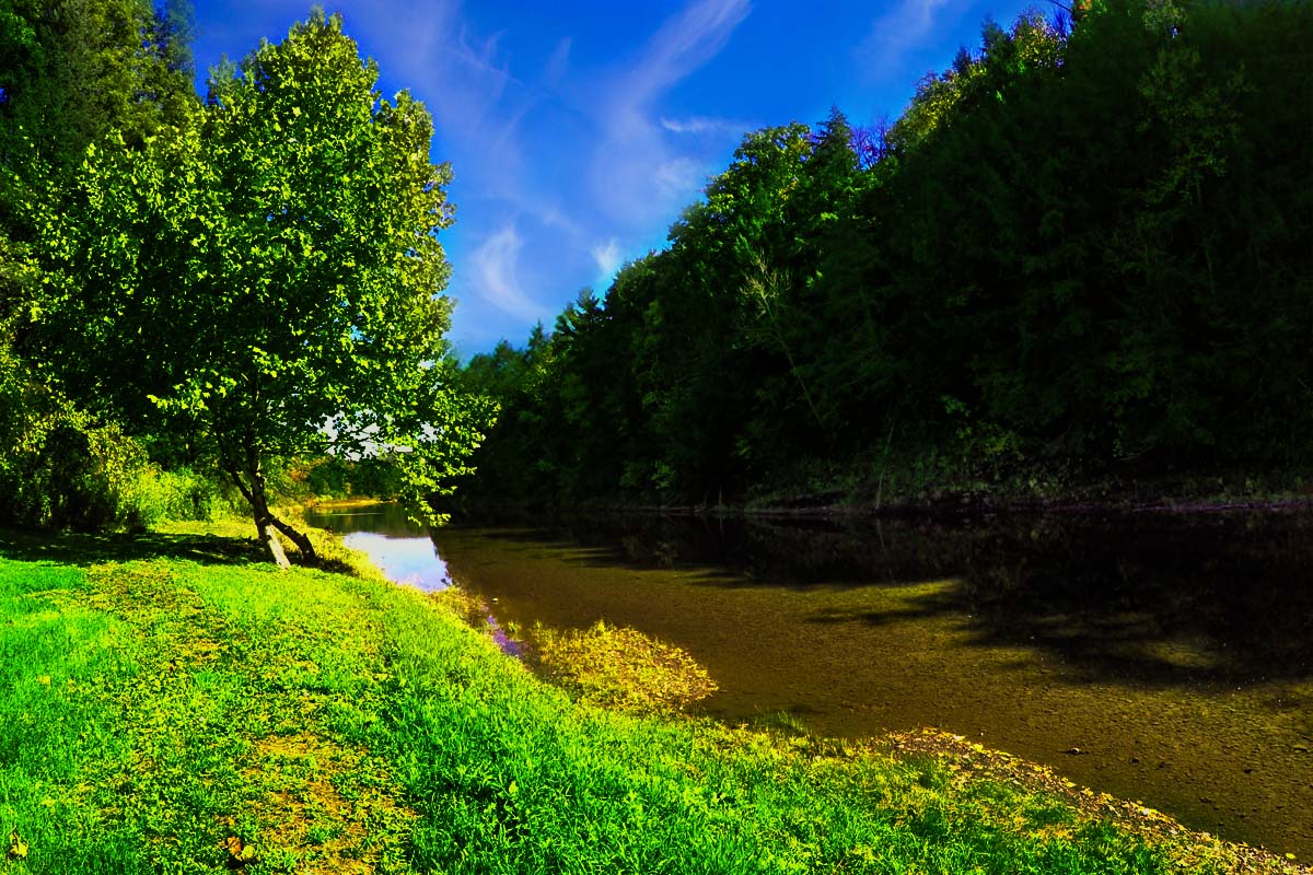 Tioga River at Tioga
